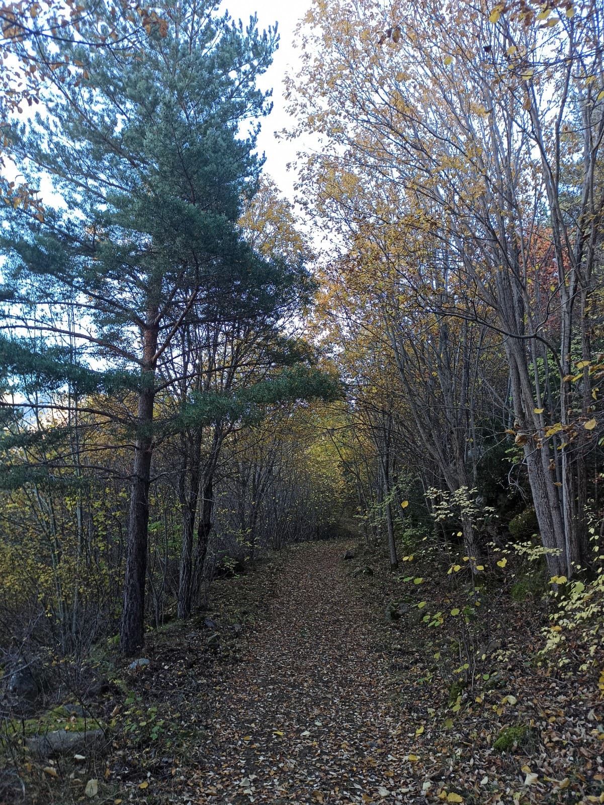 Durro - Saraís - Pont de Saraís