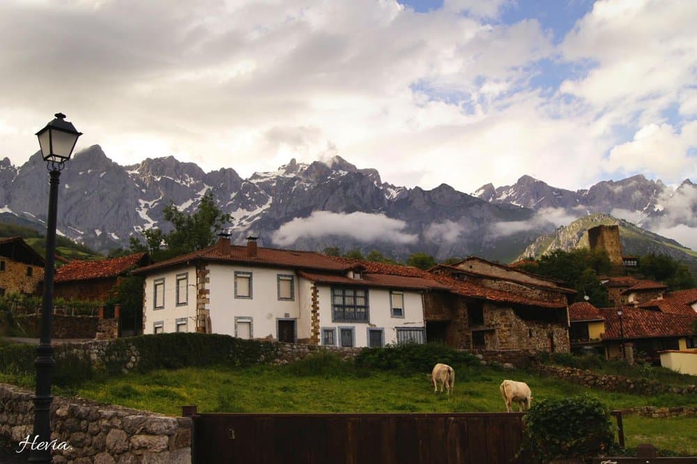 Mogrovejo: Un Viaje a la Historia y Belleza Natural de los Picos de Europa